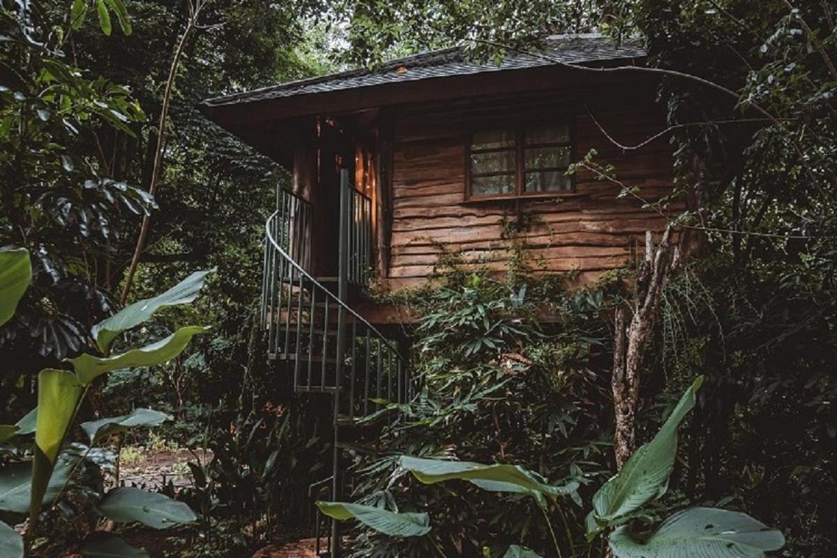 Roots Tree House Villa อูลูวาตู ภายนอก รูปภาพ